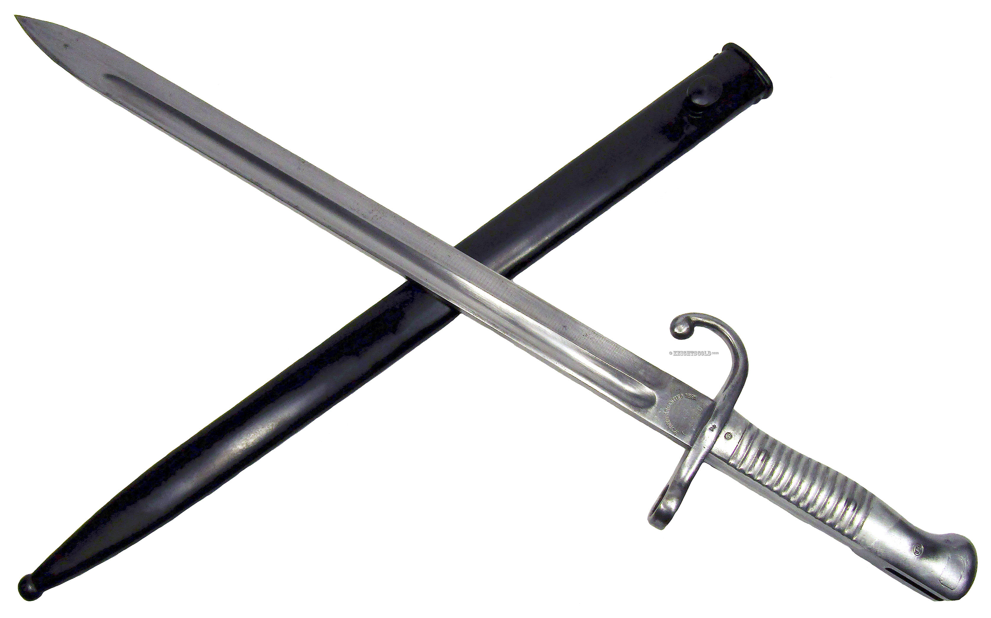 BayoArgentineScabAug24psd1107